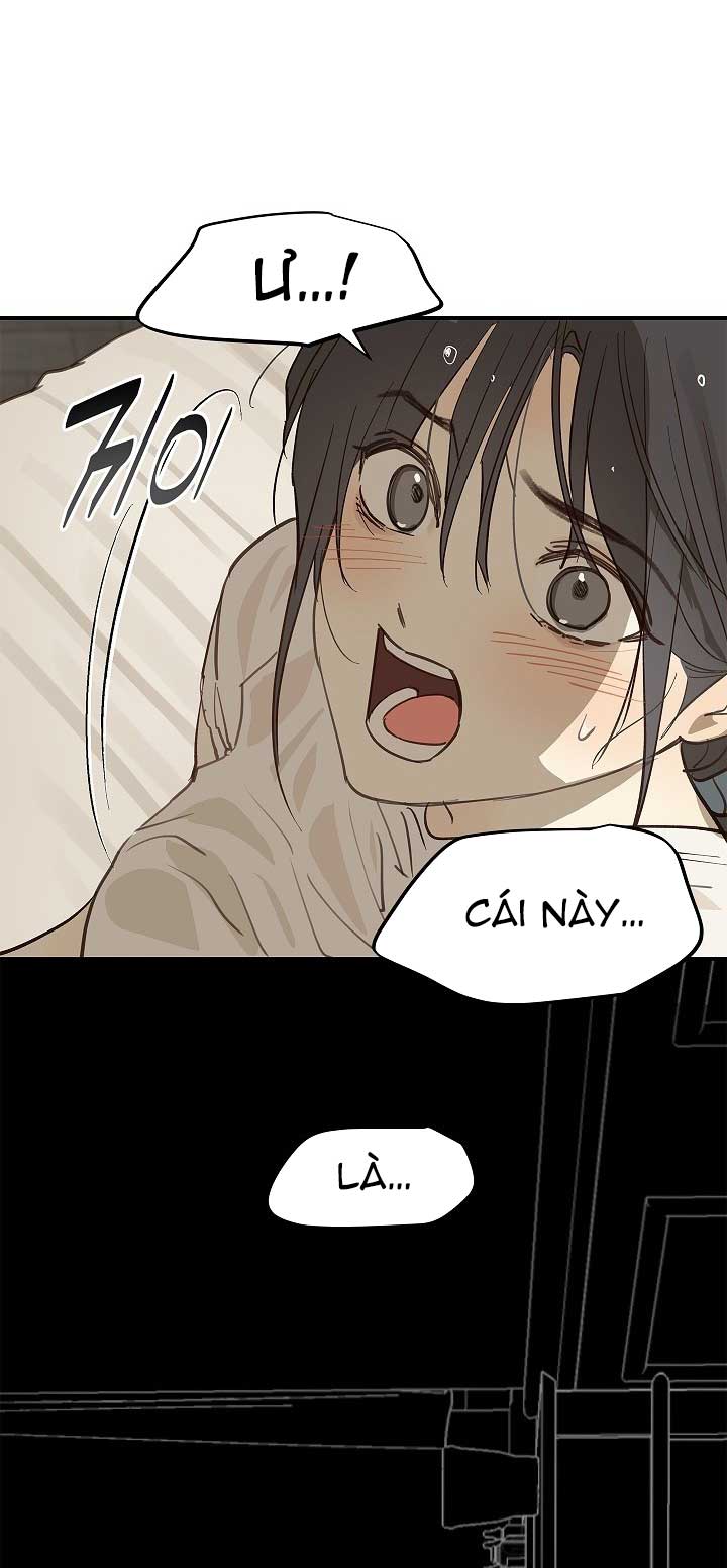 Hoa Là Mồi Nhử - Chap 31 - Trang 4