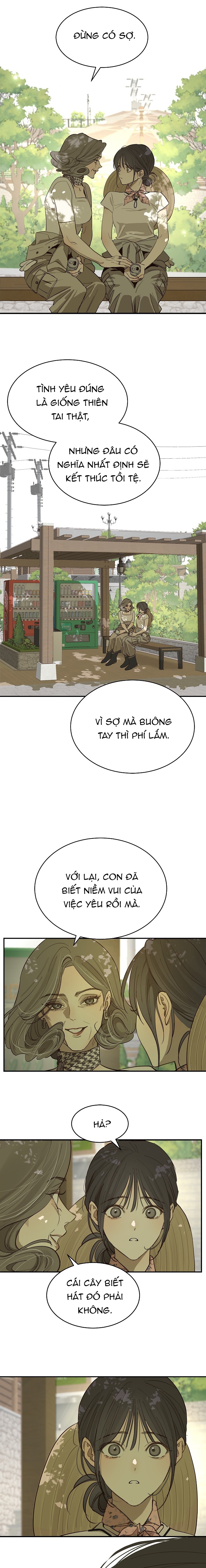 Hoa Là Mồi Nhử - Chap 36 - Trang 19