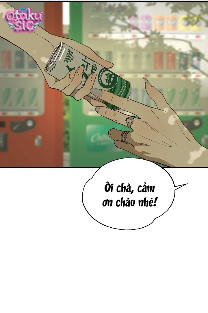 Hoa Là Mồi Nhử - Chap 36 - Trang 42