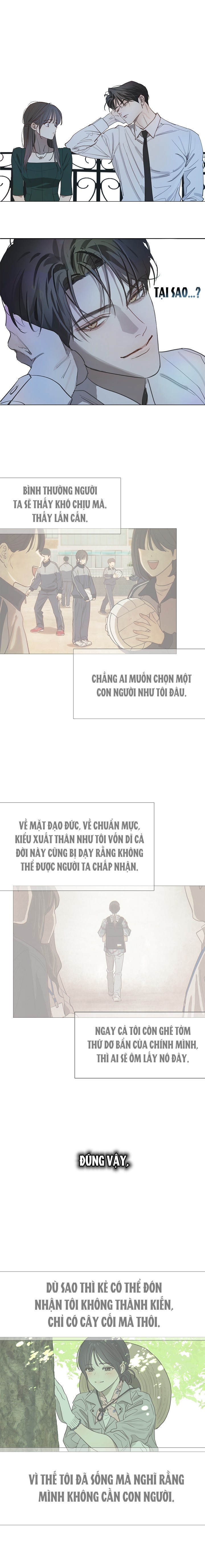 Hoa Là Mồi Nhử - Chap 36 - Trang 6