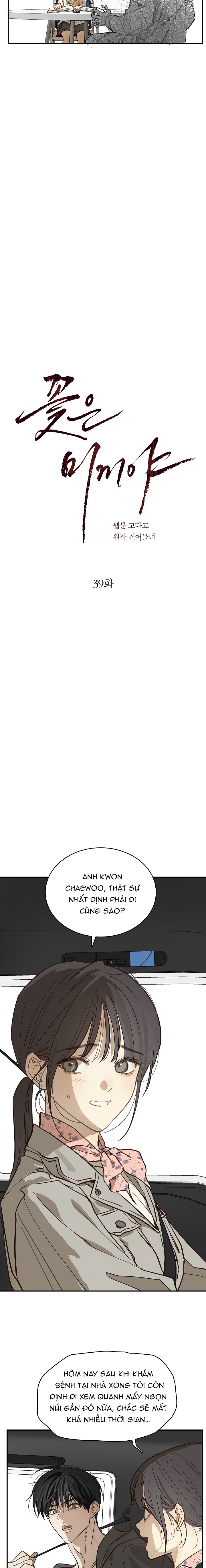 Hoa Là Mồi Nhử - Chap 39 - Trang 8