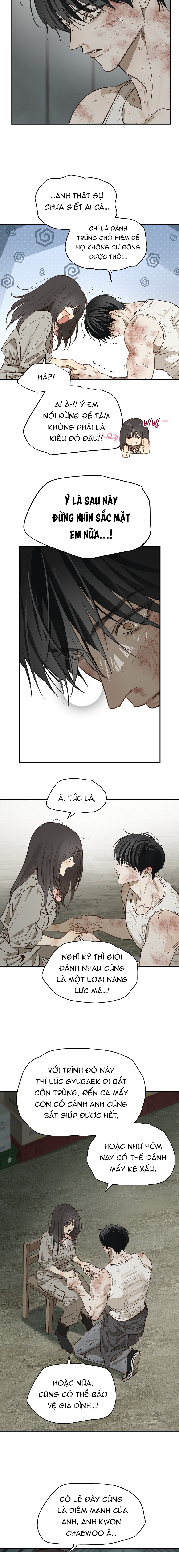 Hoa Là Mồi Nhử - Chap 42 - Trang 2