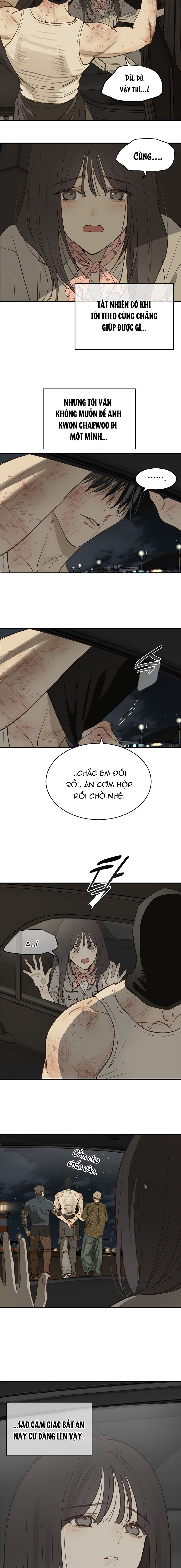 Hoa Là Mồi Nhử - Chap 42 - Trang 11