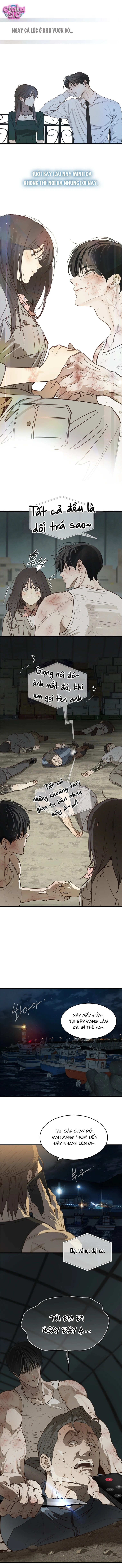 Hoa Là Mồi Nhử - Chap 42 - Trang 4