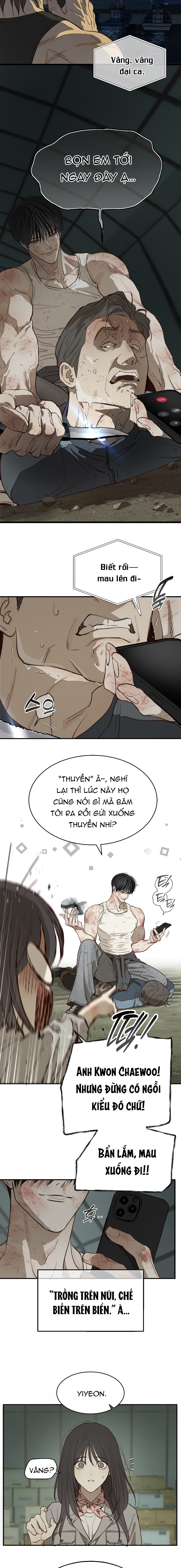 Hoa Là Mồi Nhử - Chap 42 - Trang 6