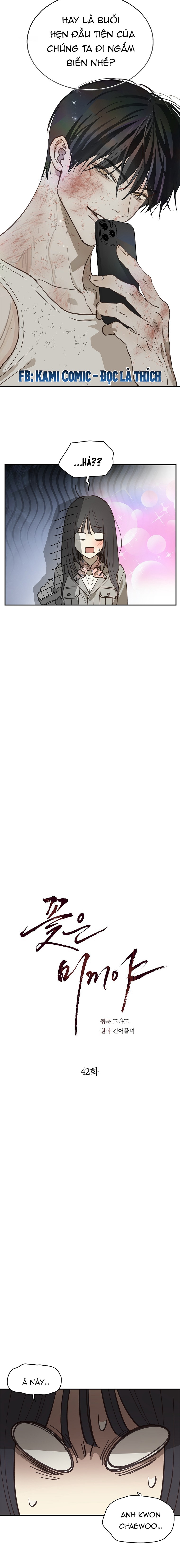 Hoa Là Mồi Nhử - Chap 42 - Trang 7