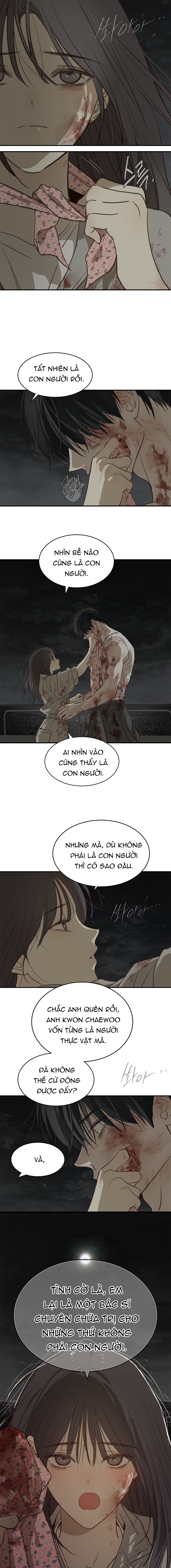 Hoa Là Mồi Nhử - Chap 44 - Trang 4
