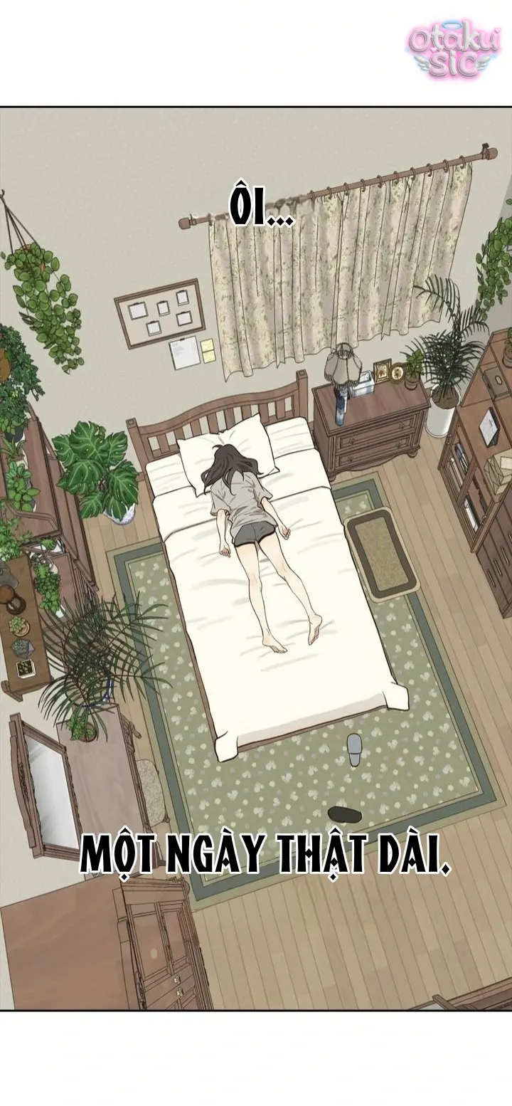 Hoa Là Mồi Nhử - Chap 8 - Trang 3