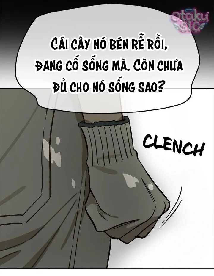 Hoa Là Mồi Nhử - Chap 9 - Trang 37