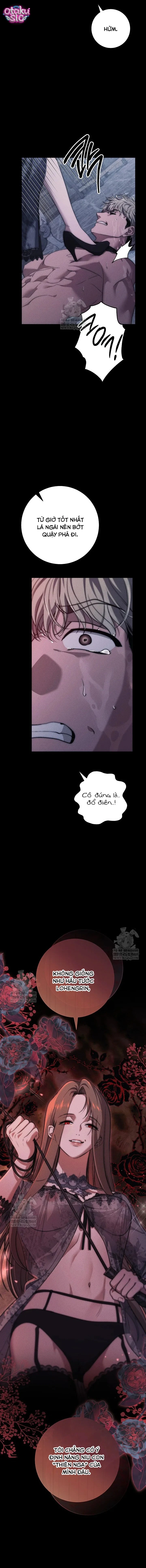 Huyệt Mộ Thiên Nga - Chap 36 - Trang 11