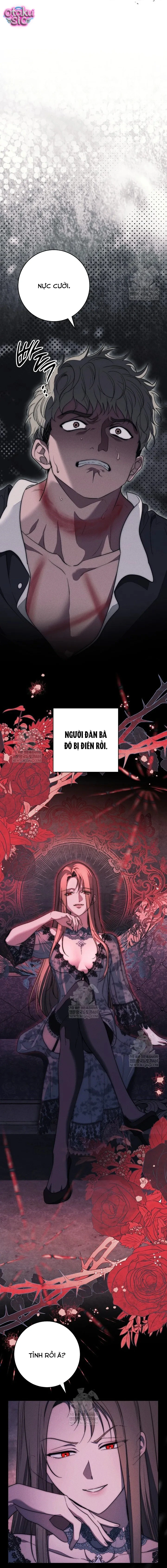 Huyệt Mộ Thiên Nga - Chap 36 - Trang 4