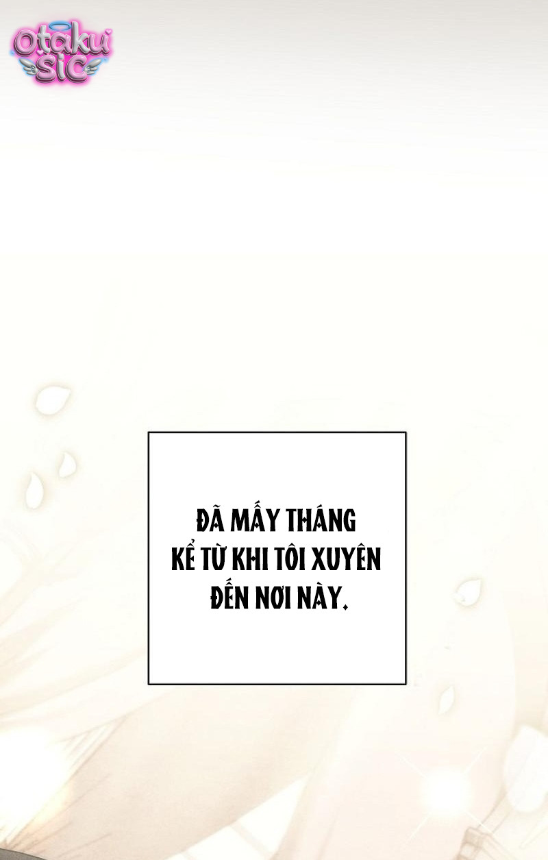 Huyệt Mộ Thiên Nga - Chap 40 - Trang 42