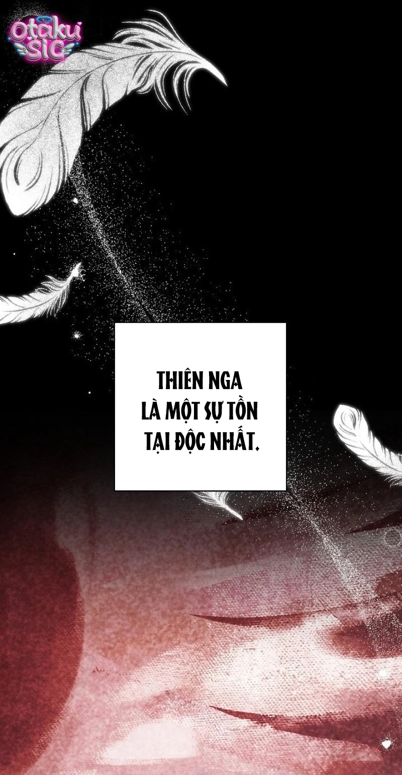 Huyệt Mộ Thiên Nga - Chap 41 - Trang 26