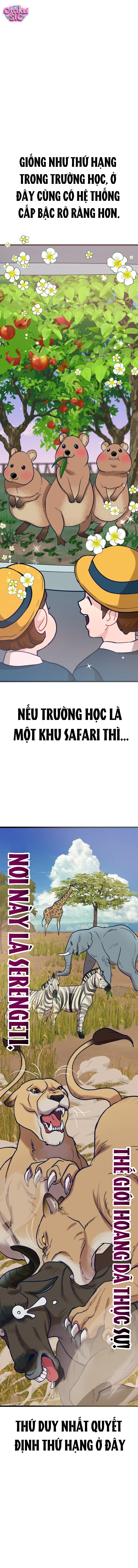 Idol yêu thích của tôi - Chap 5 - Trang 15