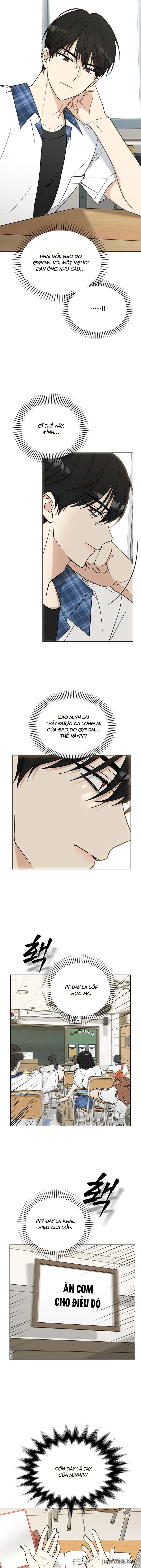 Kế Hoạch Tiết Chế Nam Chính Xã Hội Đen - Chap 1 - Trang 12