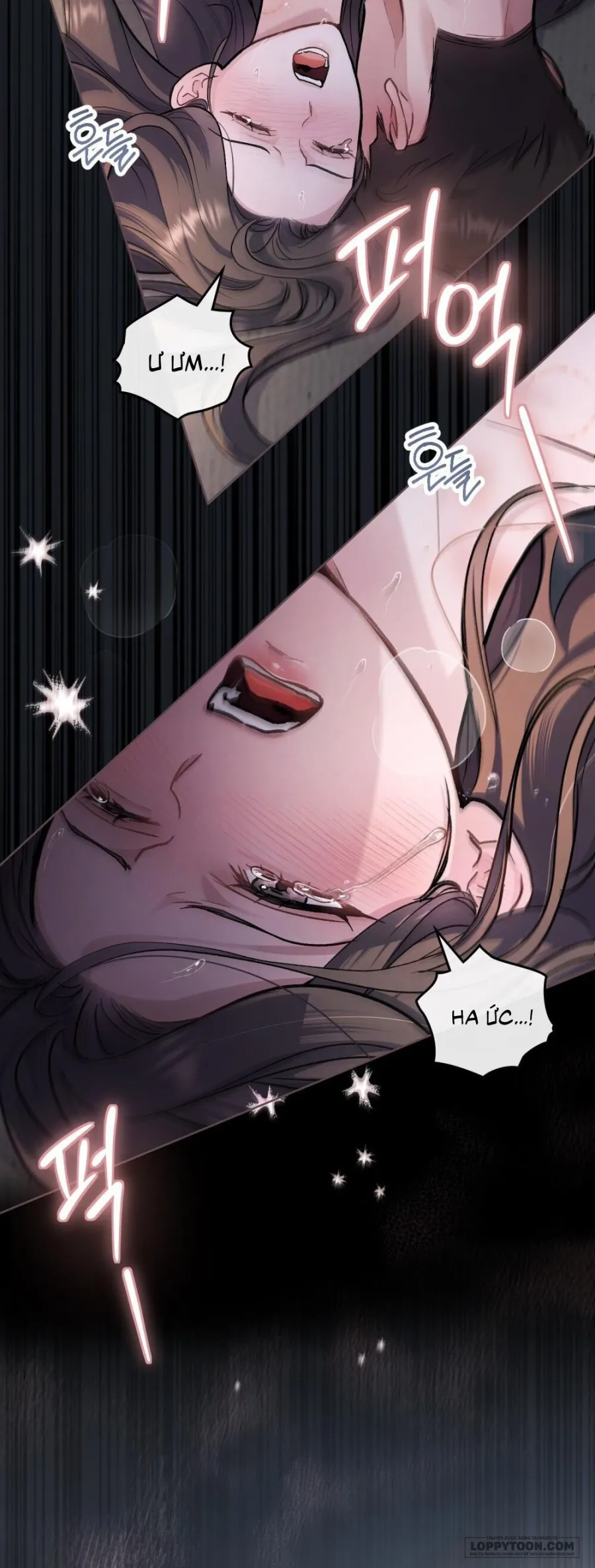 Kết Hôn Với Kẻ Tâm Thần - Chap 29 - Trang 13