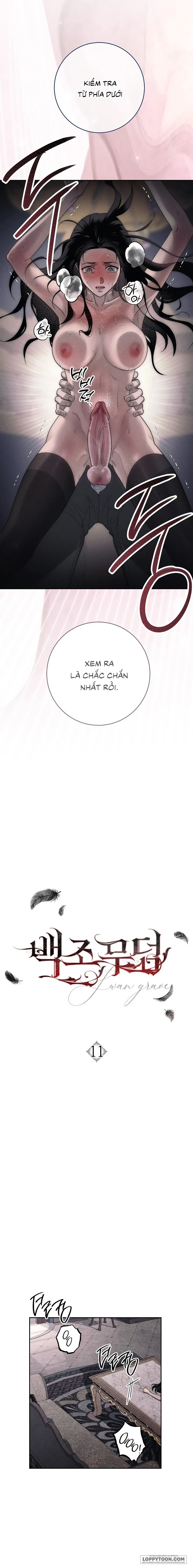 [KHÔNG CHE] Mộ Thiên Nga - Chap 11 - Trang 1