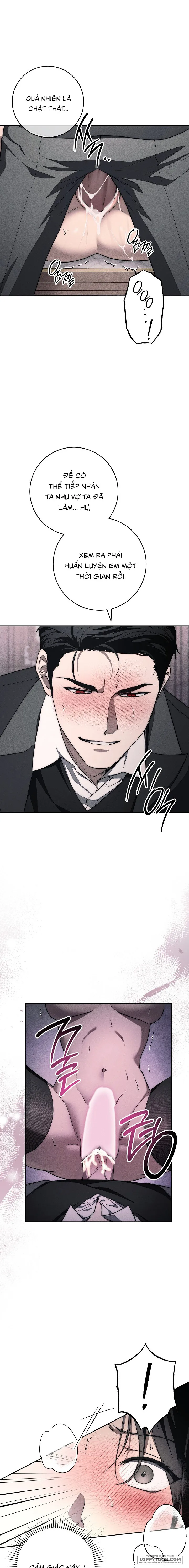 [KHÔNG CHE] Mộ Thiên Nga - Chap 11 - Trang 12