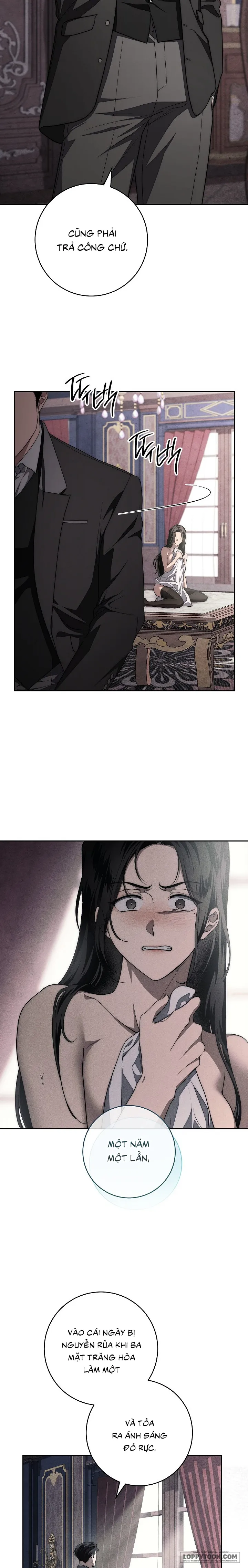 [KHÔNG CHE] Mộ Thiên Nga - Chap 11 - Trang 17