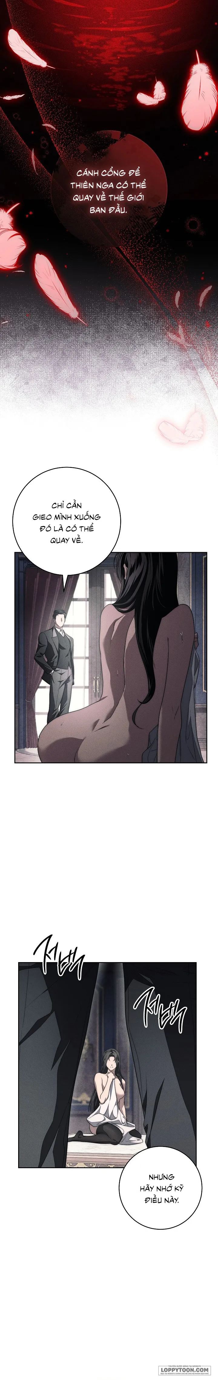 [KHÔNG CHE] Mộ Thiên Nga - Chap 11 - Trang 19