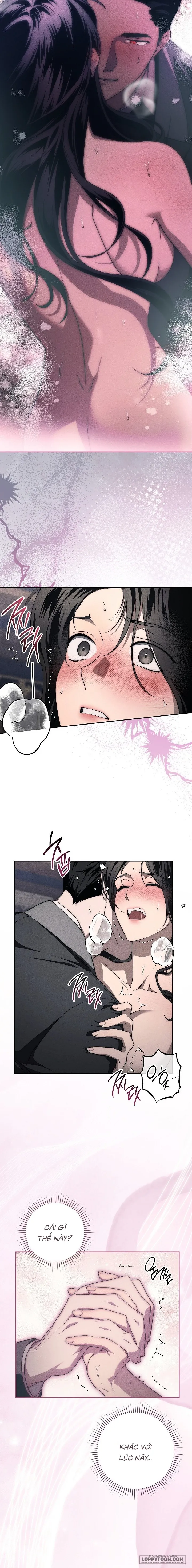[KHÔNG CHE] Mộ Thiên Nga - Chap 11 - Trang 8