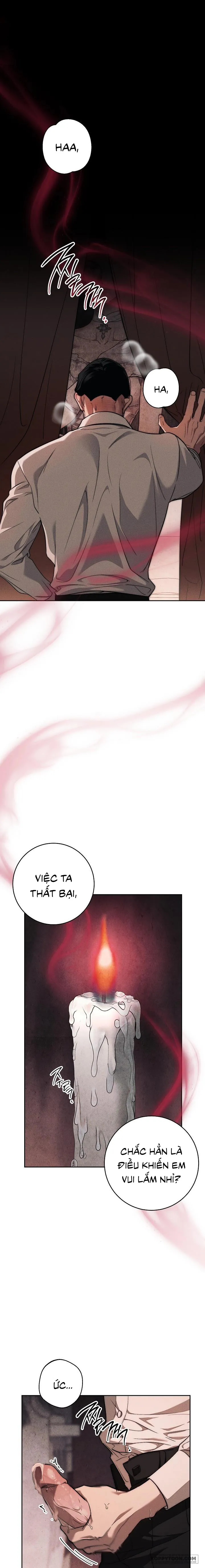 [KHÔNG CHE] Mộ Thiên Nga - Chap 2 - Trang 1