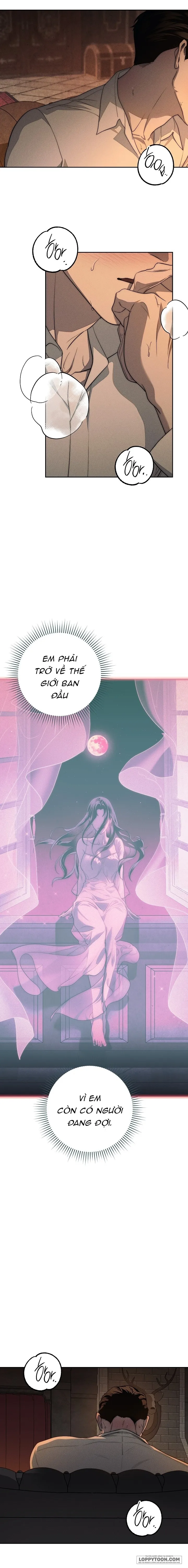 [KHÔNG CHE] Mộ Thiên Nga - Chap 8 - Trang 2