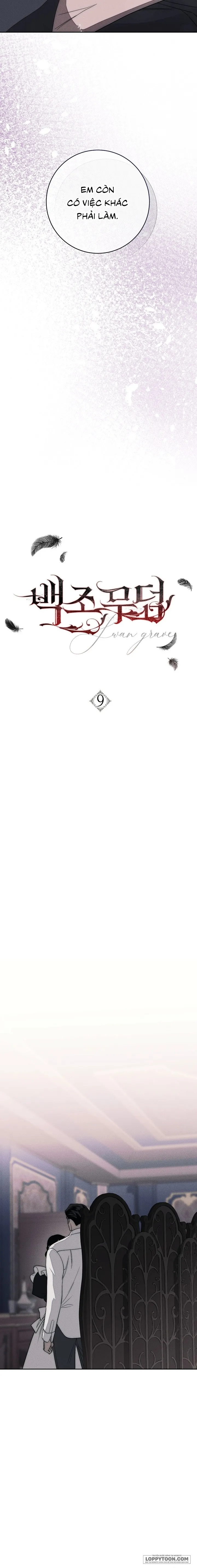 [KHÔNG CHE] Mộ Thiên Nga - Chap 9 - Trang 6