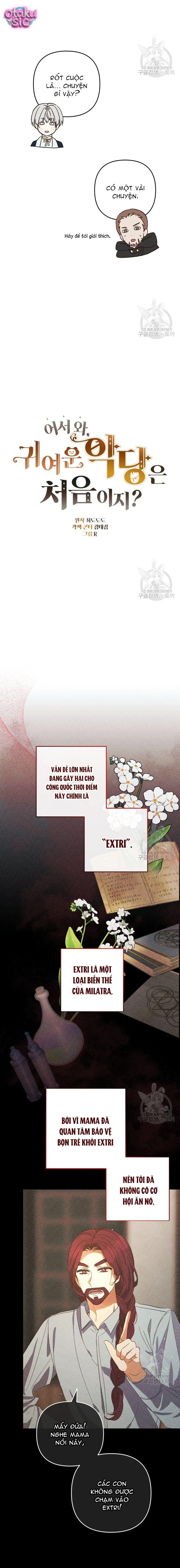 Lần Đầu Thấy Nhân Vật Phản Diện Đáng Yêu À? - Chap 27 - Trang 7