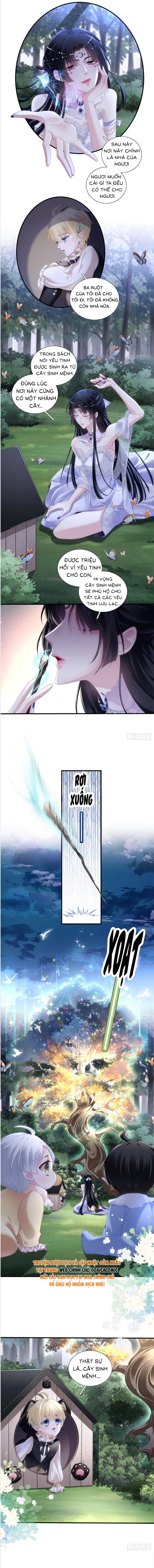 Ma Nữ Trở Lại Và Cuộc Hôn Nhân Định Mệnh - Chap 11 - Trang 3