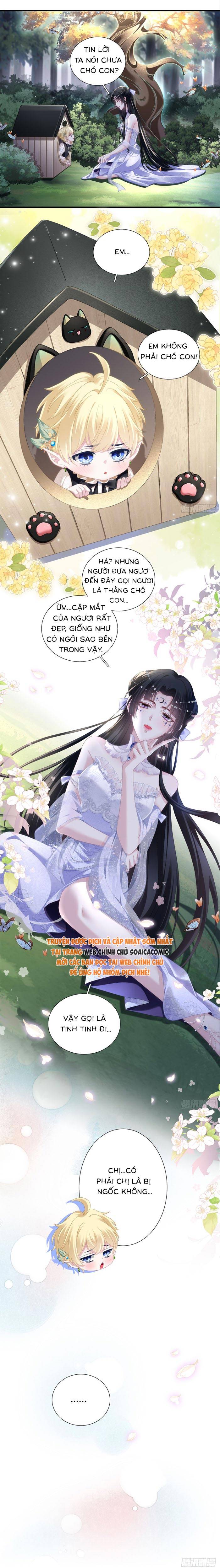 Ma Nữ Trở Lại Và Cuộc Hôn Nhân Định Mệnh - Chap 11 - Trang 4