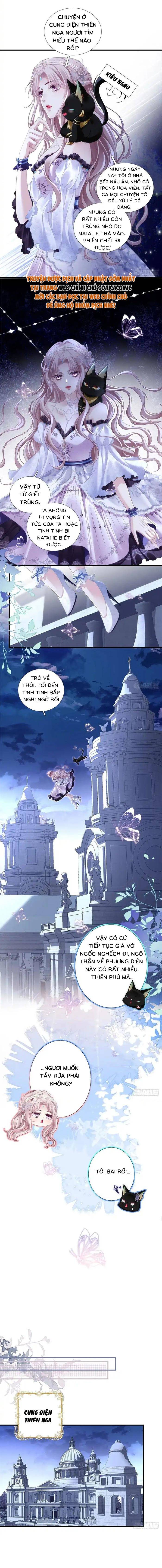 Ma Nữ Trở Lại Và Cuộc Hôn Nhân Định Mệnh - Chap 16 - Trang 6