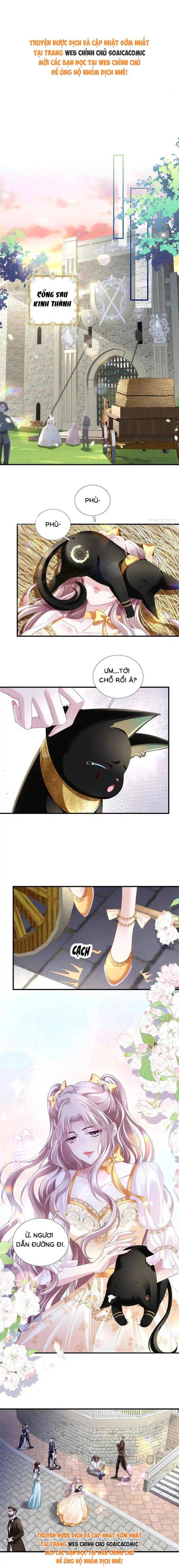 Ma Nữ Trở Lại Và Cuộc Hôn Nhân Định Mệnh - Chap 18 - Trang 1