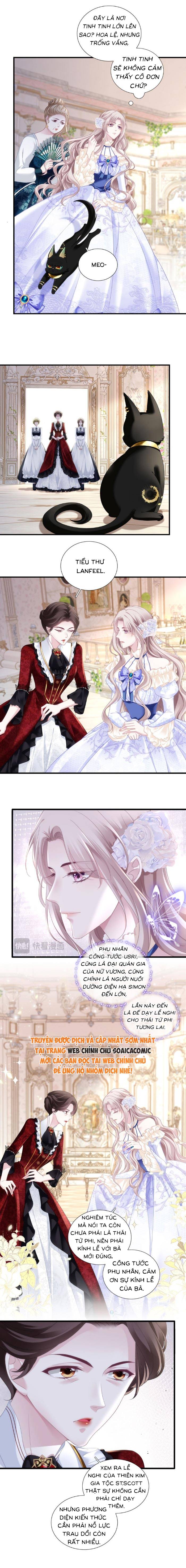 Ma Nữ Trở Lại Và Cuộc Hôn Nhân Định Mệnh - Chap 5 - Trang 3