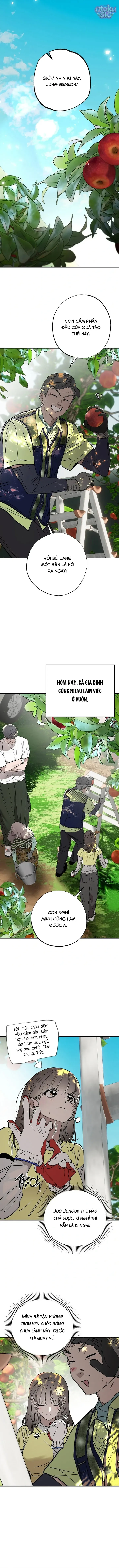 Mật Ngọt Ở Vườn Cây Ăn Quả - Chap 10 - Trang 2