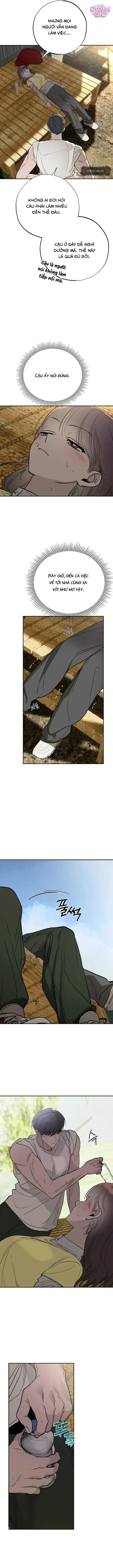 Mật Ngọt Ở Vườn Cây Ăn Quả - Chap 10 - Trang 11