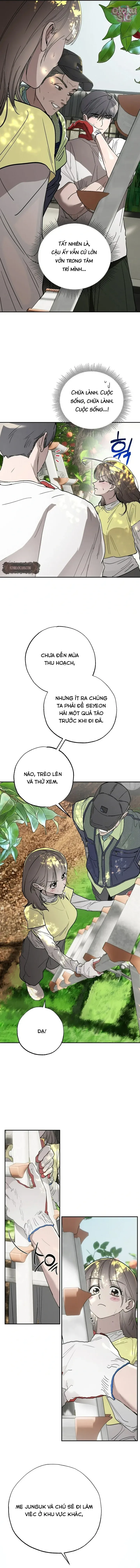 Mật Ngọt Ở Vườn Cây Ăn Quả - Chap 10 - Trang 3