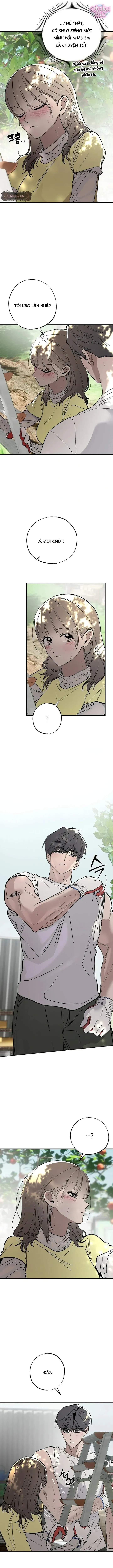 Mật Ngọt Ở Vườn Cây Ăn Quả - Chap 10 - Trang 6