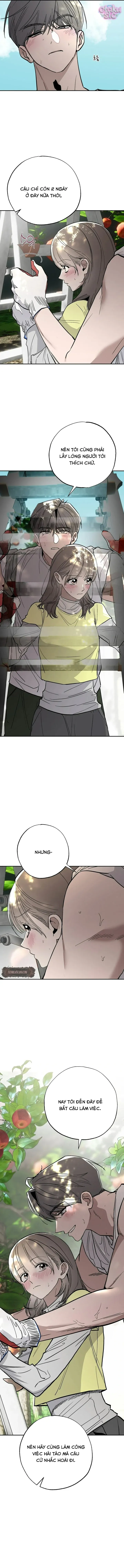 Mật Ngọt Ở Vườn Cây Ăn Quả - Chap 10 - Trang 8