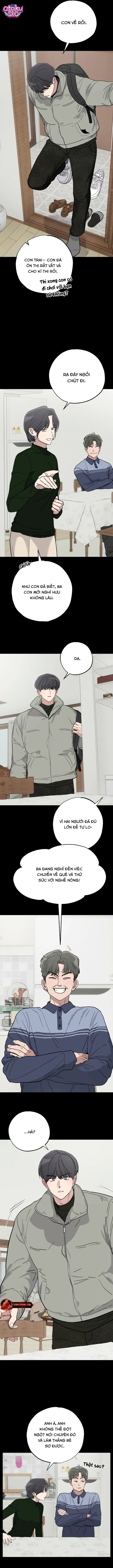 Mật Ngọt Ở Vườn Cây Ăn Quả - Chap 11 - Trang 6