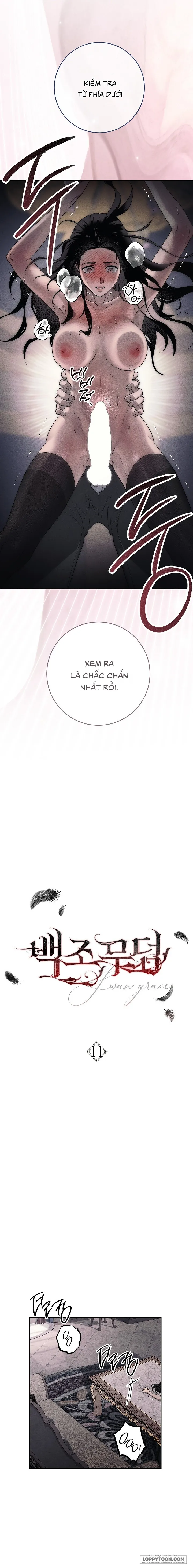 Mộ Thiên Nga - Chap 11 - Trang 1