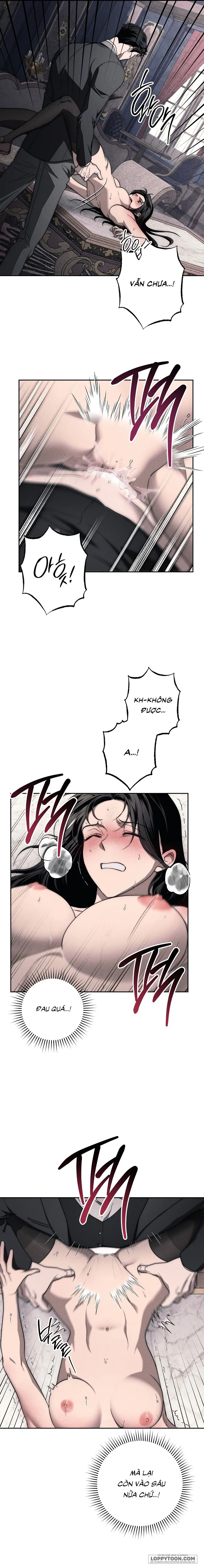 Mộ Thiên Nga - Chap 11 - Trang 5