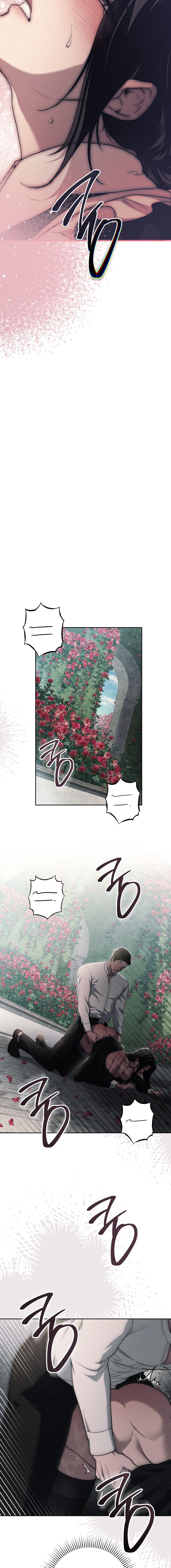 Mộ Thiên Nga - Chap 17 - Trang 19