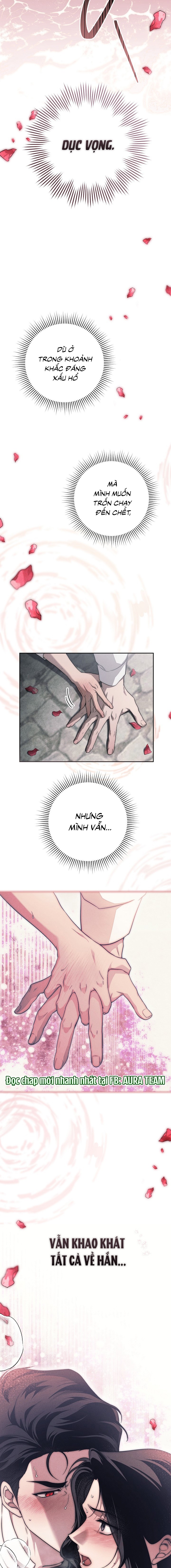 Mộ Thiên Nga - Chap 17 - Trang 22
