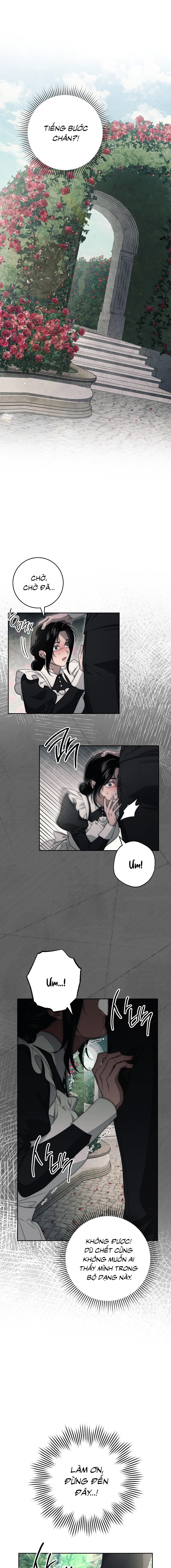 Mộ Thiên Nga - Chap 17 - Trang 5