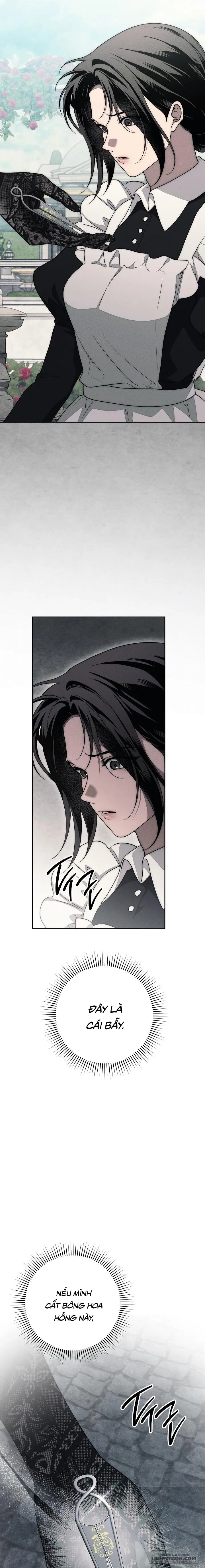 Mộ Thiên Nga - Chap 22 - Trang 20