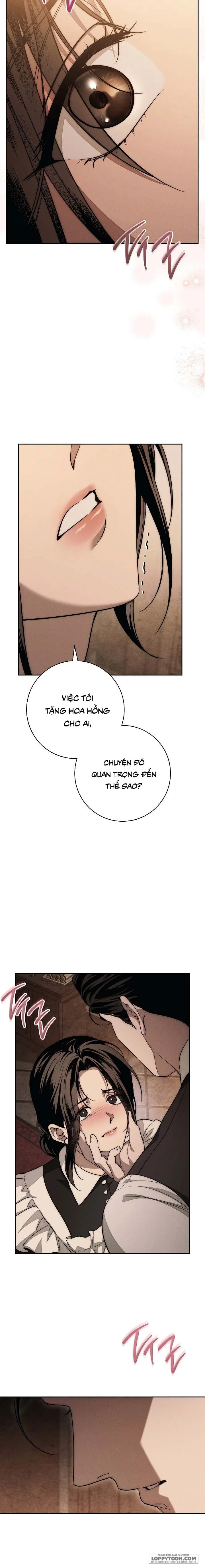 Mộ Thiên Nga - Chap 24 - Trang 13
