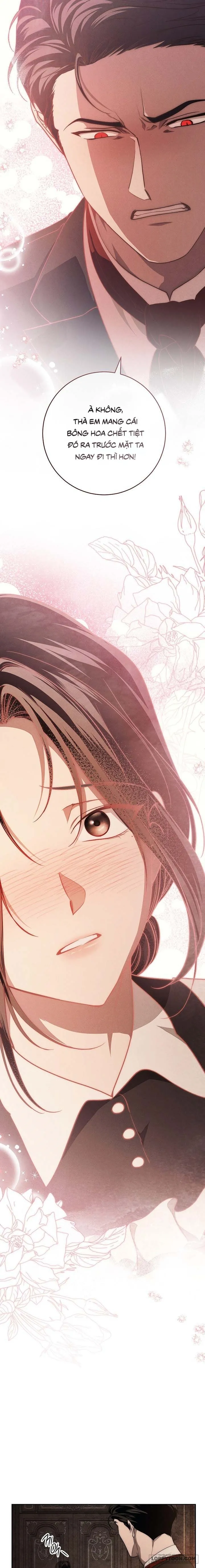 Mộ Thiên Nga - Chap 24 - Trang 15