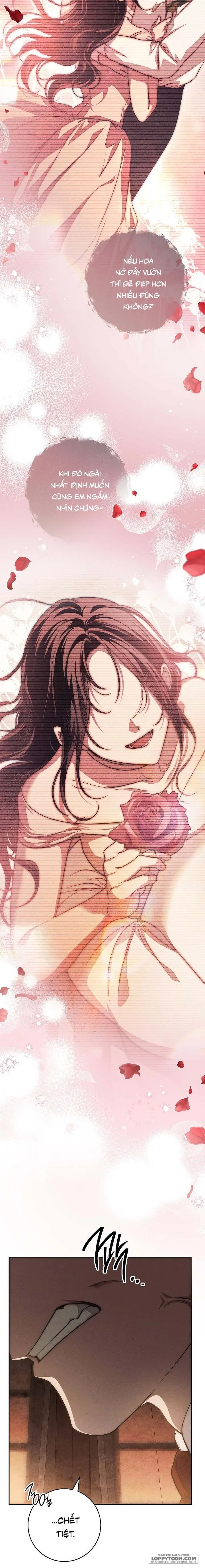 Mộ Thiên Nga - Chap 24 - Trang 20