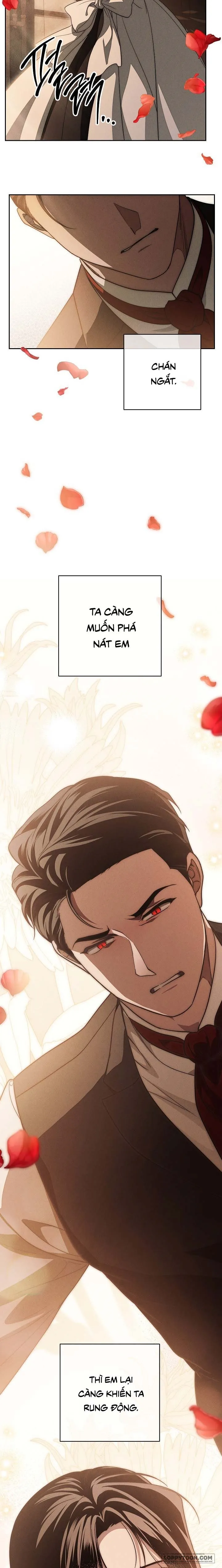Mộ Thiên Nga - Chap 24 - Trang 22